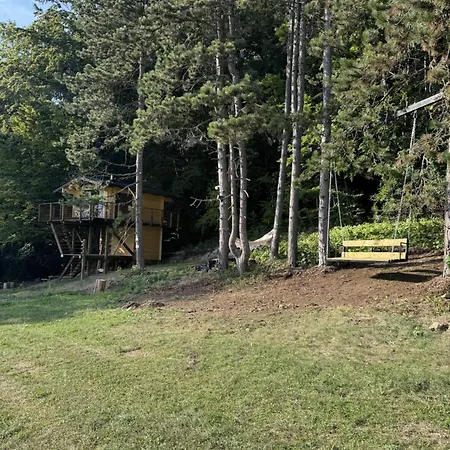 Treetop Tiny House Pod Korunami