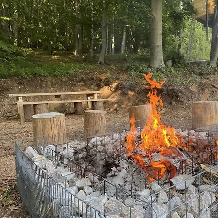 Kamp alanı Treetop Tiny House Pod Korunami Horna Micina