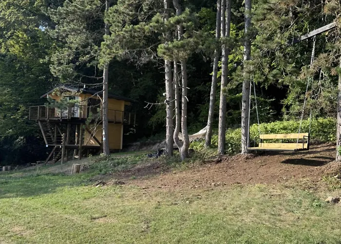 Treetop Tiny House Pod Korunami