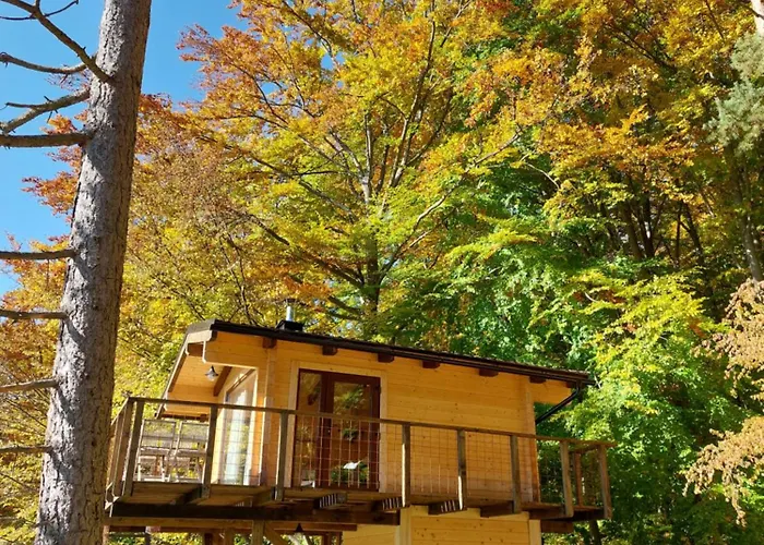 Treetop Tiny House Pod Korunami Camping Horna Micina