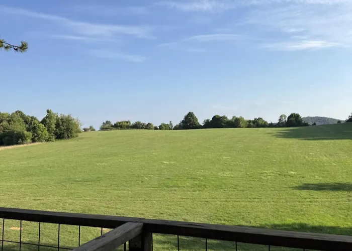 Treetop Tiny House Pod Korunami Camping